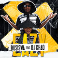 Busiswa