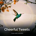 Calm Bird Sounds