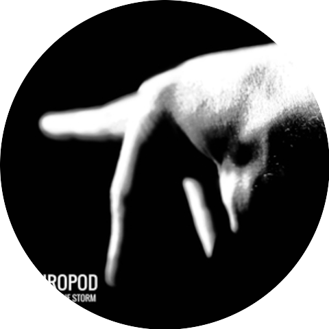 Sauropod