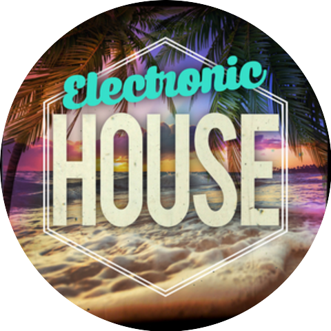 Electronic House