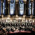 Insula Orchestra