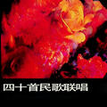 李玲玉