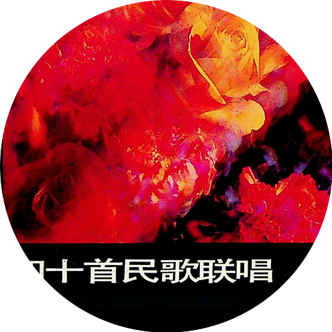 李玲玉