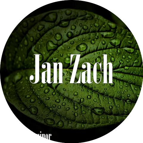 Jan Zach