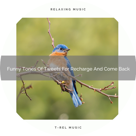 Deep Sleep Nature Sounds