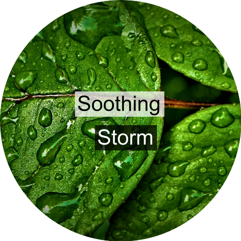 Rain Sounds Ambience