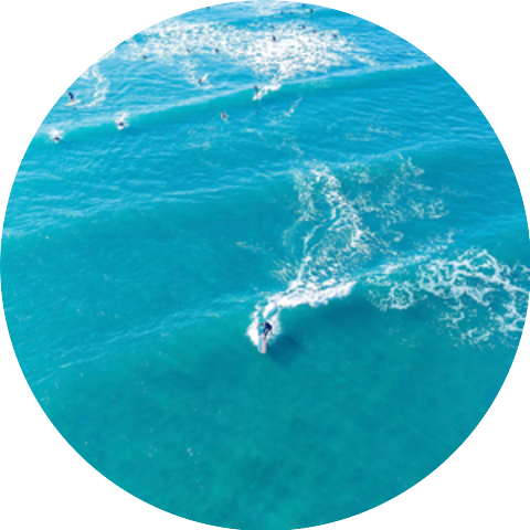 Surf Friends