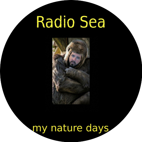Radio Sea