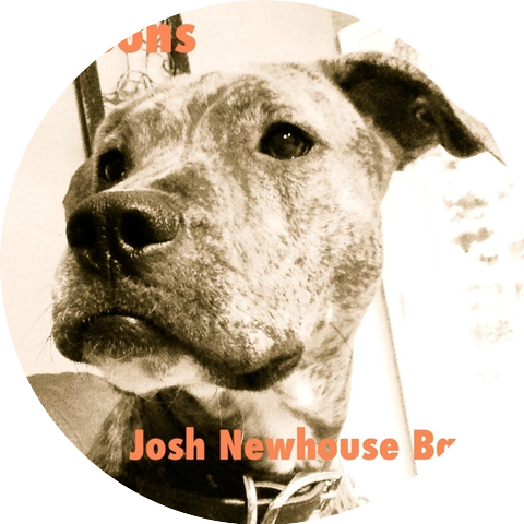 Josh Newhouse Band