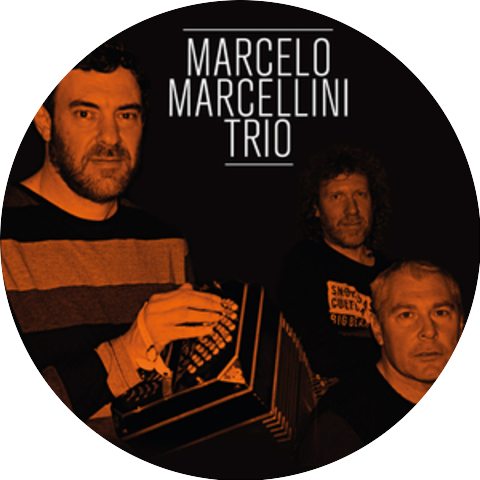 Marcelo Marcellini