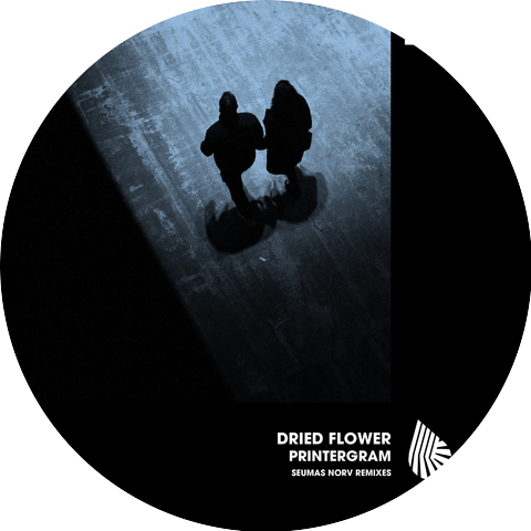 Dried Flower