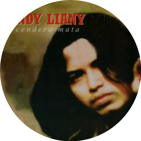 Andy Liany