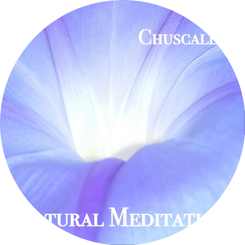 Chuscales