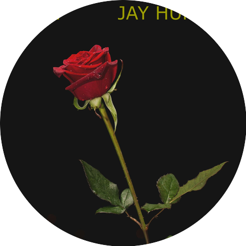 Jay & Hunter