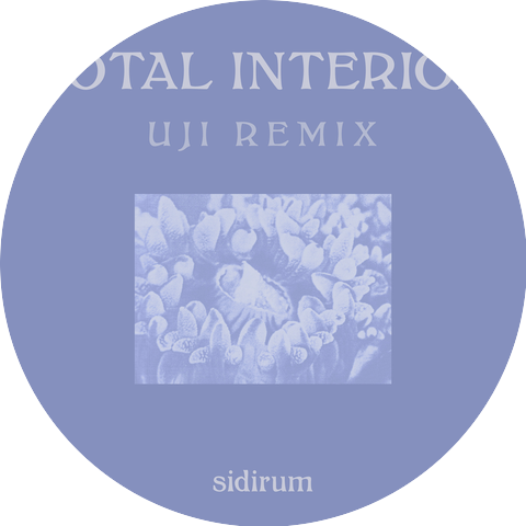 SidiRum