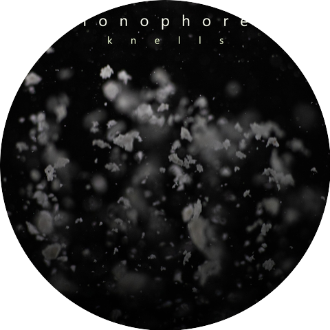 Ionophore