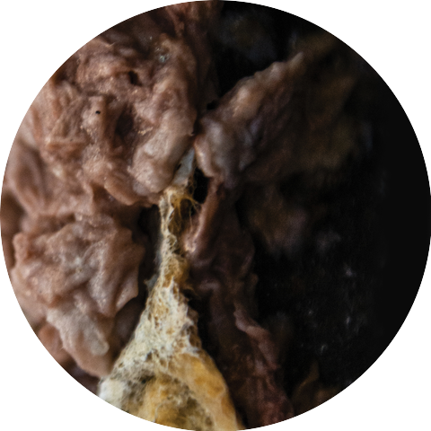 Wiegedood