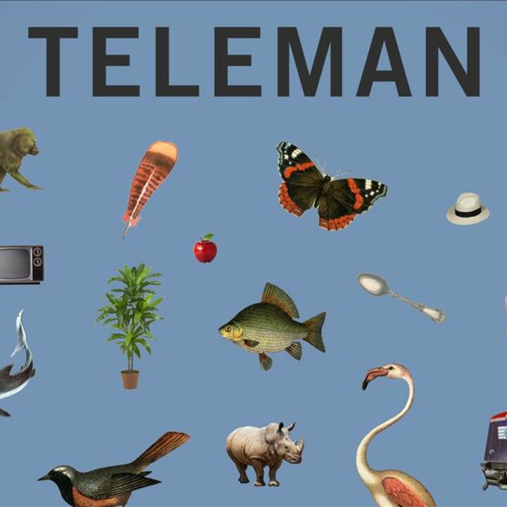 Teleman