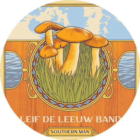 Leif De Leeuw Band