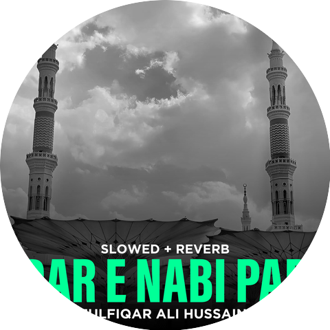 Zulfiqar Ali Hussaini