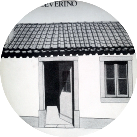 António Severino