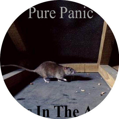 Pure Panic