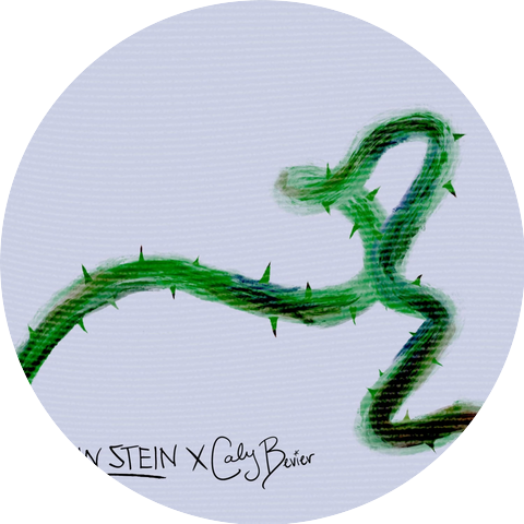JNTHN STEIN