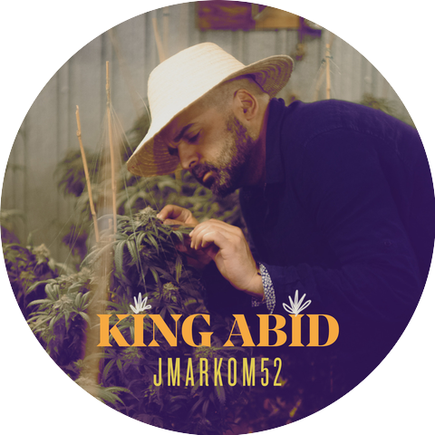 King Abid