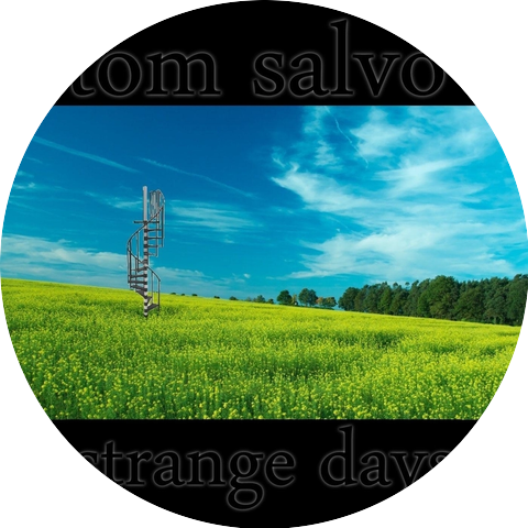 Tom Salvo