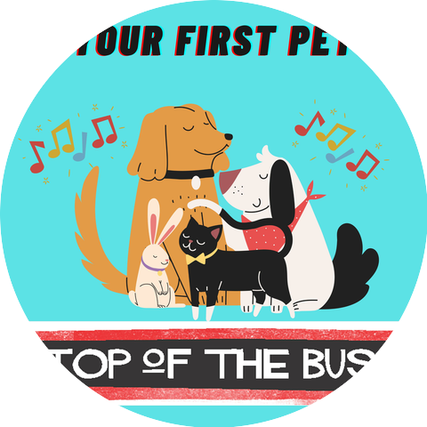Top of the Bus
