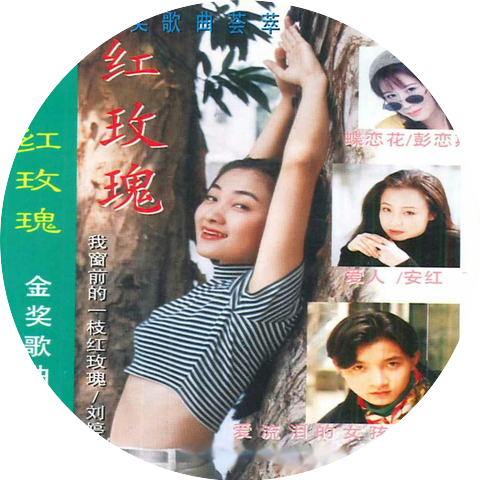 刘婷