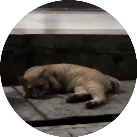 Flizy