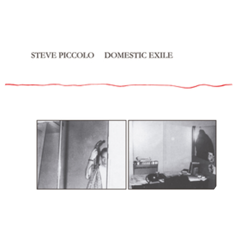 Steve Piccolo