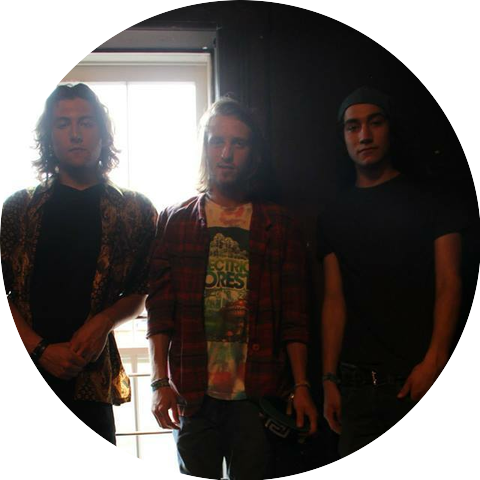 The Young Revelators