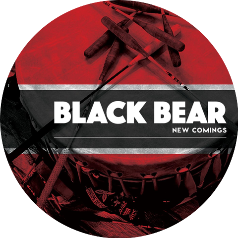 Black Bear