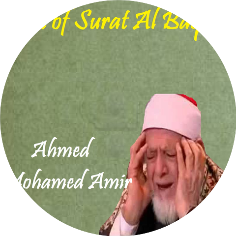 Ahmed Mohamed Amir