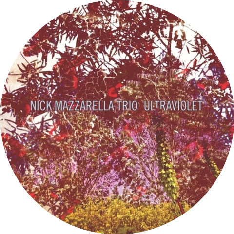 Nick Mazzarella Trio