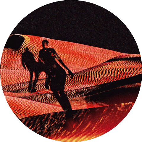 The Rupert Selection