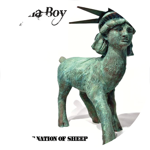 Llama Boy