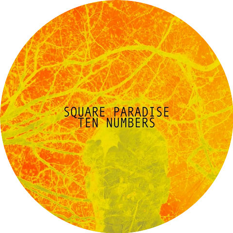Square Paradise