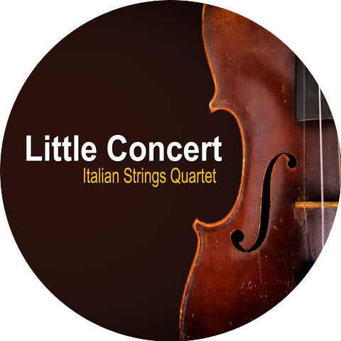 Italian Strings Quartet