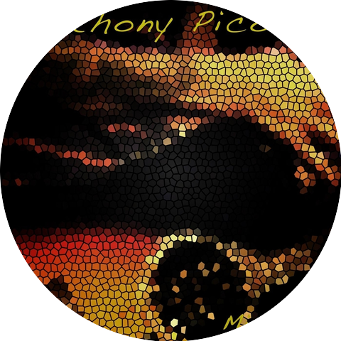 Anthony Picone