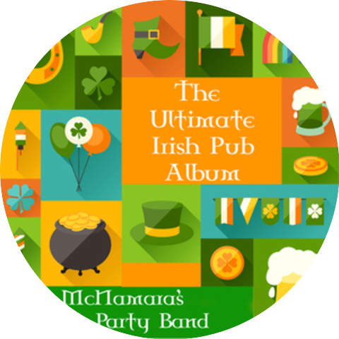 McNamara's Irish Party Band