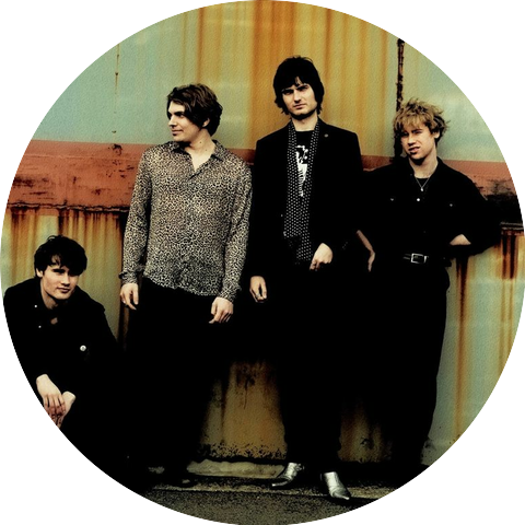 The Velvet Hands