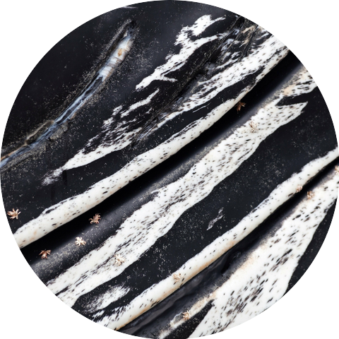 New Adventures In HiFi