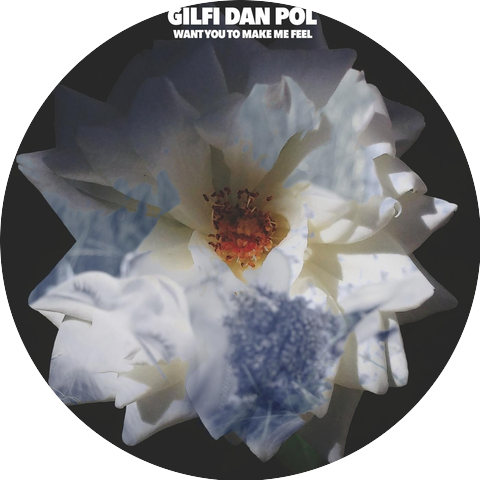 Gilfi Dan Pol
