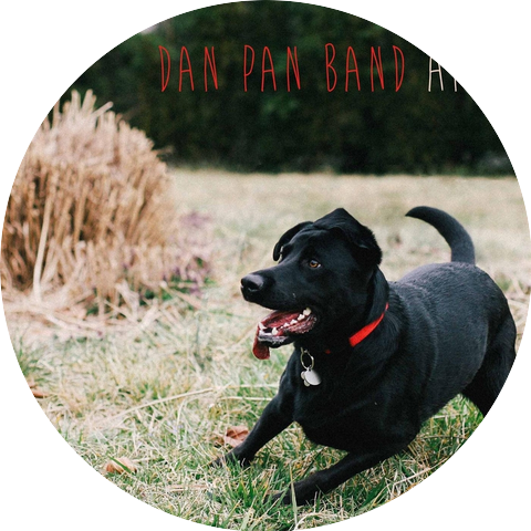 Dan Pan Band