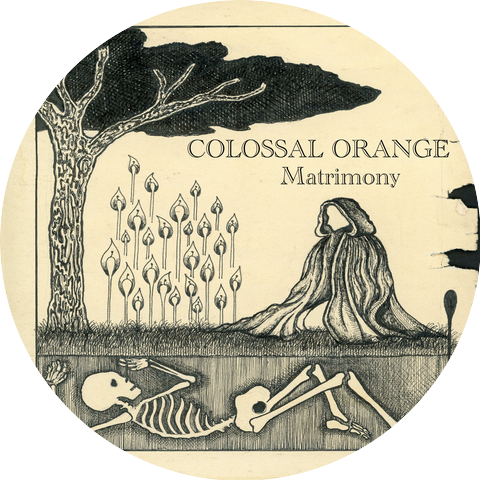 Colossal Orange