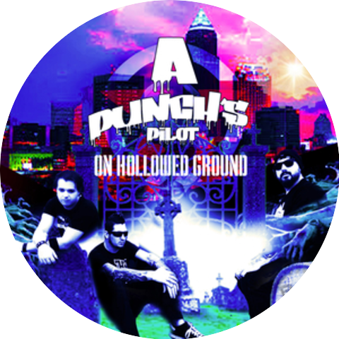 A Punch's Pilot