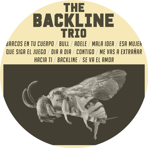 The Backline Trio